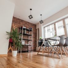 derecho medio ambiente