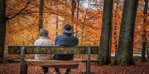 autumn-1791854_640-300×200-1